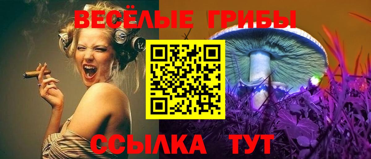 Камышлов  Галлюциногенные грибы MAGIC MUSHROOMS  Вход с VPN 