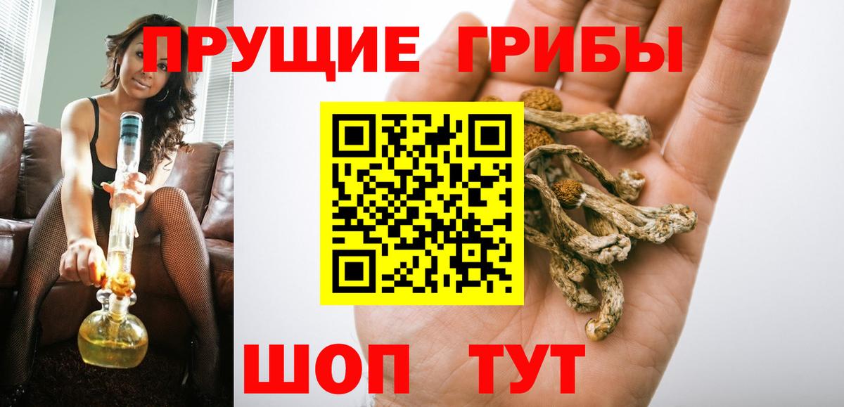 Псилоцибиновые грибы ЛСД Камышлов
